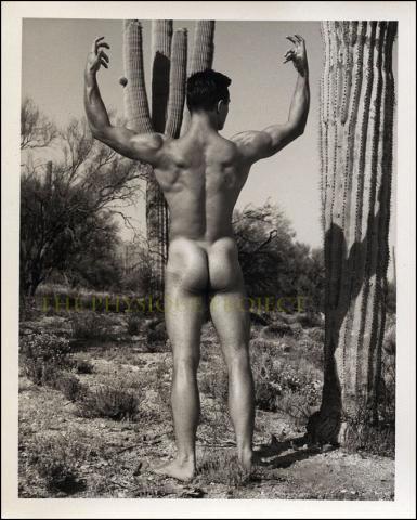 Perry Peters Arizona Nude Bruce Of LA Desert B&W Physique Photograph